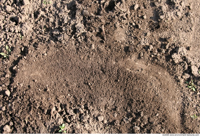 Rough Soil