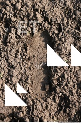 Photo texture of Soil Rough