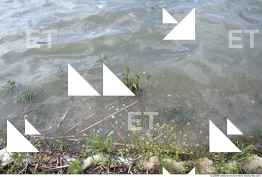 Inspiration Water 0031