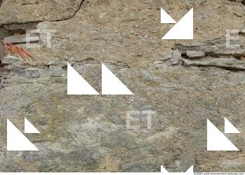 Walls Plaster Damaged