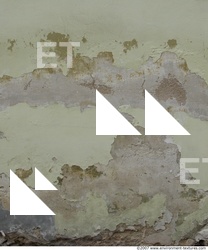 Walls Plaster Damaged