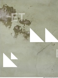 Walls Plaster Damaged