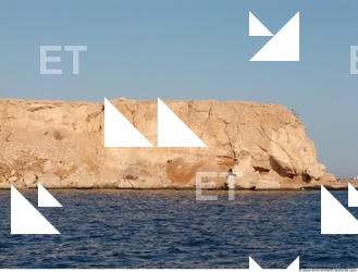 Background Nature 0046