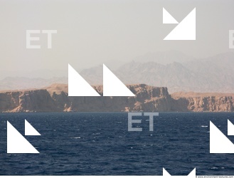 Background Nature 0011