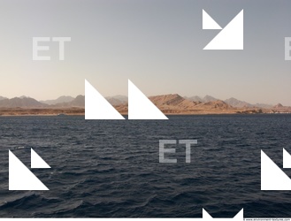 Background Nature 0018