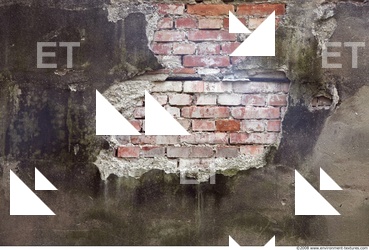Wall Bricks Damaged