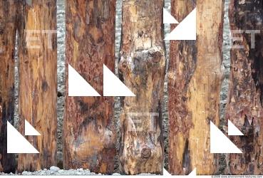 Various Planks Wood