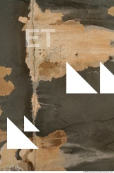 Walls Plaster Damaged