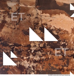 Walls Plaster Damaged