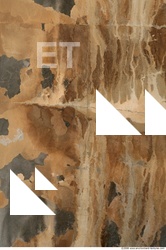 Wall Plaster Leaking