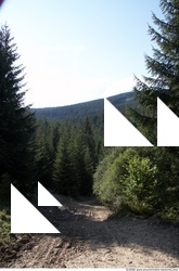 Background Forests