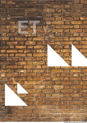 Wall Bricks Damaged