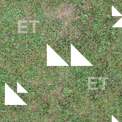 Seamless Grass