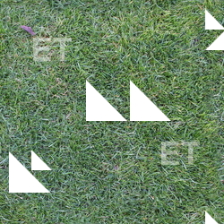 Seamless Grass