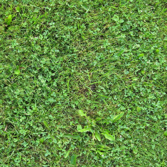 Seamless Grass