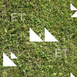 Seamless Grass