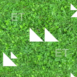 Seamless Grass