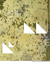 Walls Plaster Damaged