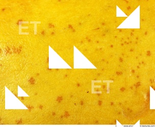 Fruits Vegetables 0007