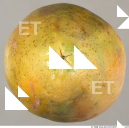 Fruits Vegetables 0006