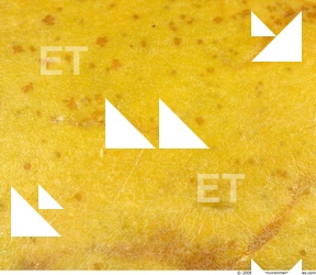 Fruits Vegetables 0013