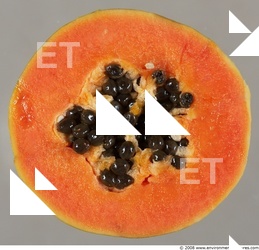 Fruits Vegetables 0018