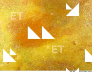 Fruits Vegetables 0009