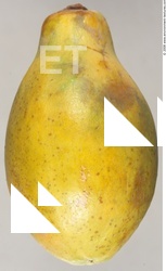 Fruits Vegetables 0002