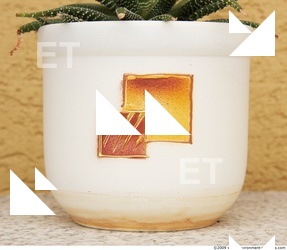 Interior Various 0002