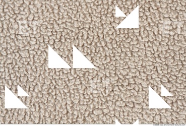 Carpet Fabric