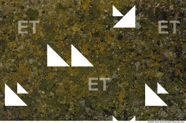 Ground Concrete 0003