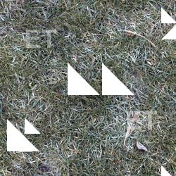 Seamless Grass Frozen