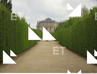 Background Garden 0052