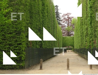 Background Garden 0059