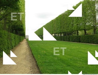 Background Garden 0082