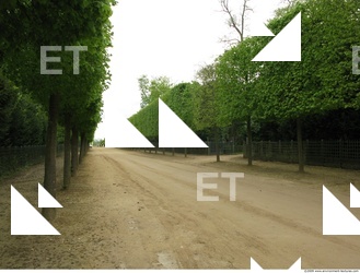 Background Garden 0083