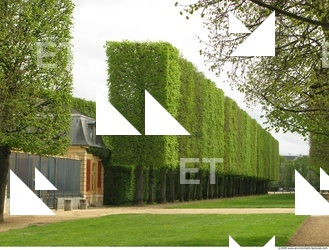 Background Garden 0048