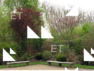 Background Garden 0069