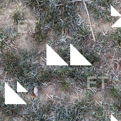 Seamless Grass Frozen