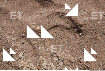 photo texture of sand