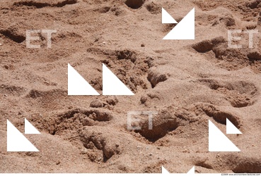 photo texture of sand