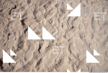 photo texture of sand