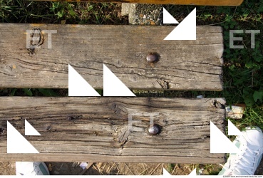 Various Planks Wood