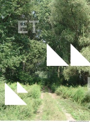 Background Nature 0001