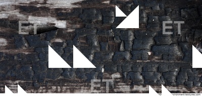 Burned Wood