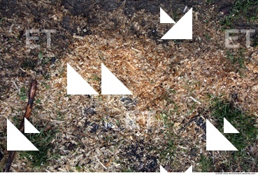Wood Chips