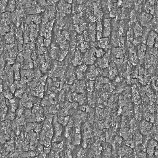 Seamless Tree Bark