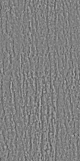 Seamless Tree Bark