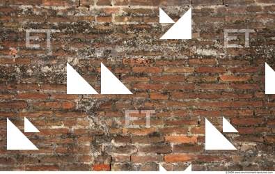 Wall Bricks Plastered