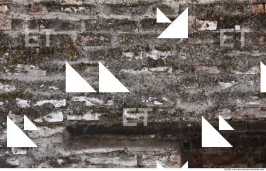 Wall Bricks Plastered